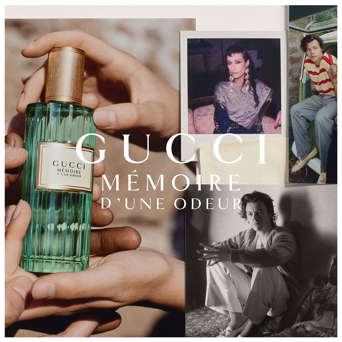 draaipunt etiket Losjes Harry Styles Gucci Memoire d'Une Odeur Perfume Celebrity SCENTsation