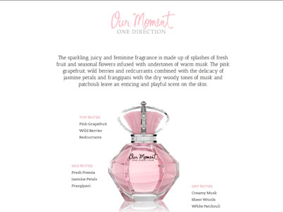 Our Moment website, One Direction