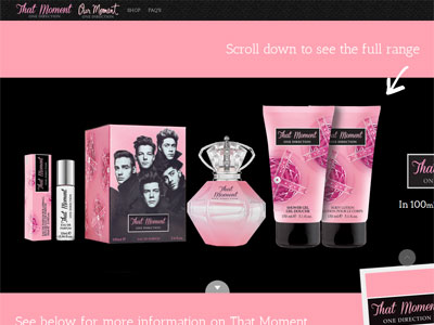 That Moment website, One Direction